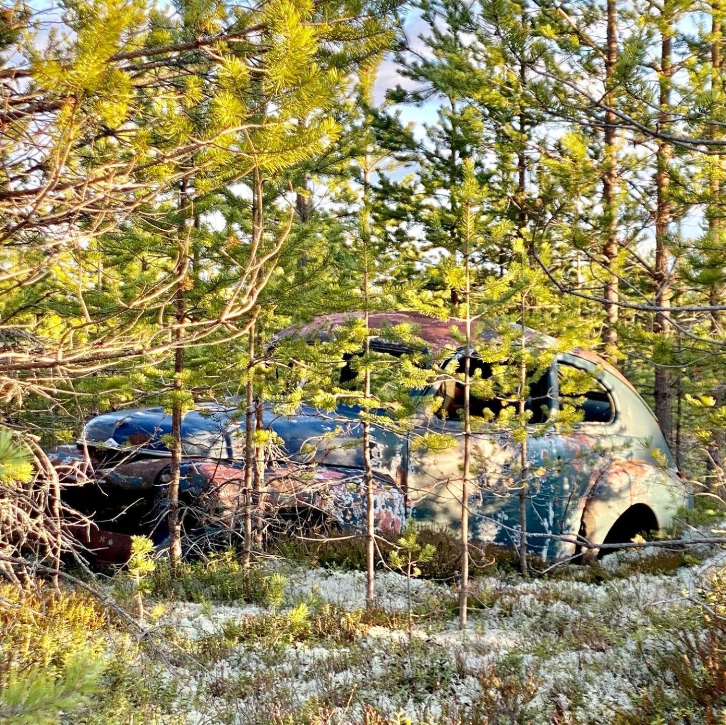 Sörsjön Offroadcamp酒店 外观 照片